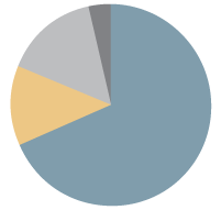 Graphique circulaire du programme d'emprunts par type d'obligation